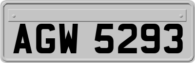 AGW5293
