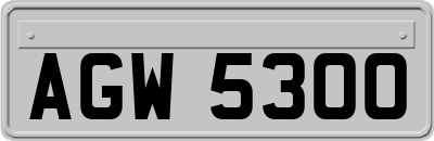 AGW5300