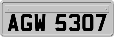 AGW5307