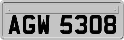 AGW5308