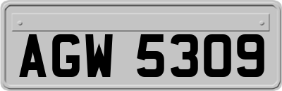 AGW5309