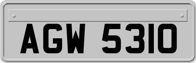 AGW5310