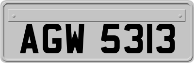 AGW5313