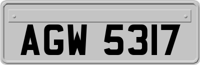 AGW5317