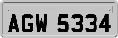 AGW5334
