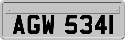 AGW5341
