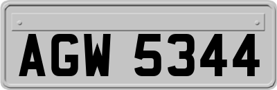 AGW5344