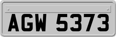 AGW5373