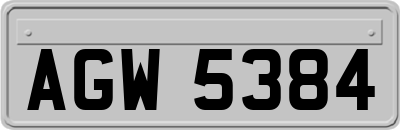 AGW5384