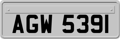 AGW5391