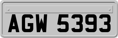AGW5393