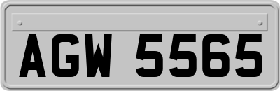 AGW5565