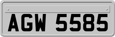 AGW5585