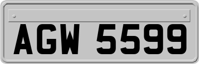 AGW5599