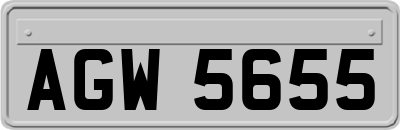 AGW5655
