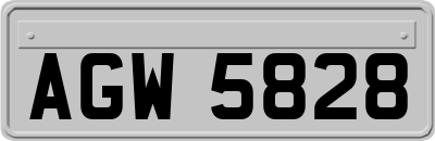 AGW5828