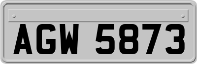 AGW5873