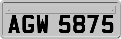 AGW5875
