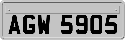 AGW5905