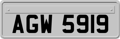 AGW5919