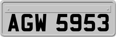 AGW5953