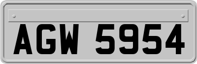 AGW5954
