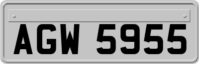 AGW5955