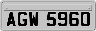 AGW5960
