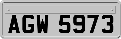 AGW5973