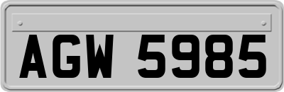 AGW5985