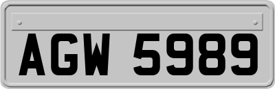 AGW5989
