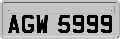 AGW5999