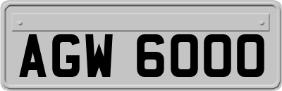 AGW6000