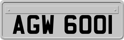 AGW6001
