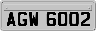 AGW6002