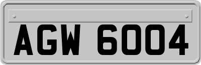 AGW6004
