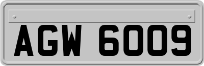 AGW6009