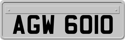 AGW6010