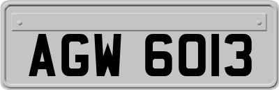 AGW6013