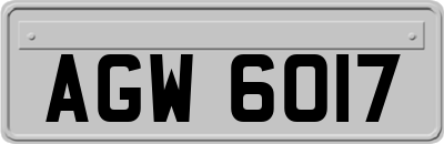 AGW6017