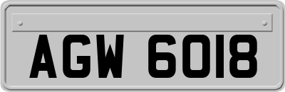 AGW6018