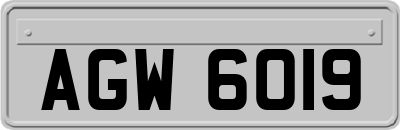 AGW6019