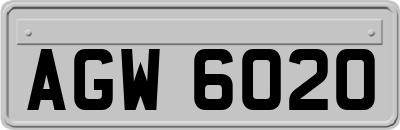AGW6020
