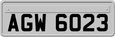 AGW6023