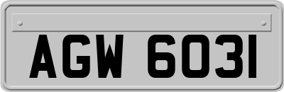 AGW6031