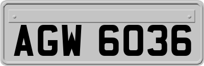 AGW6036