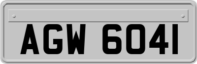 AGW6041