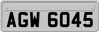 AGW6045