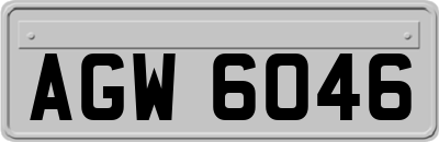 AGW6046