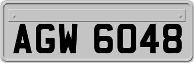 AGW6048